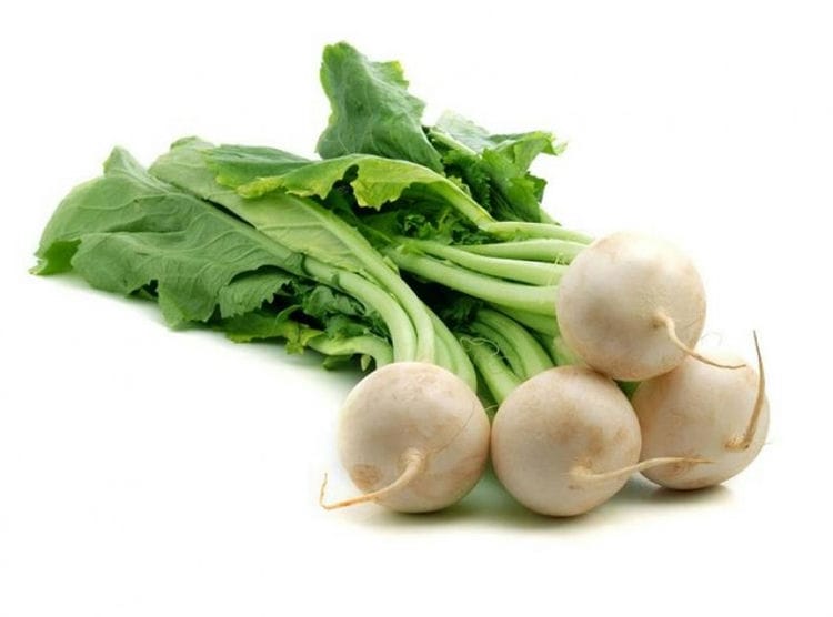 Turnip dishes - recipes quickly and tasty: how to cook, photos, recommendations. The benefits and harms of turnips for the human body