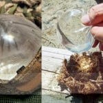 How to make fire in the forest without matches and a lighter. How to make fire without matches and make a fire