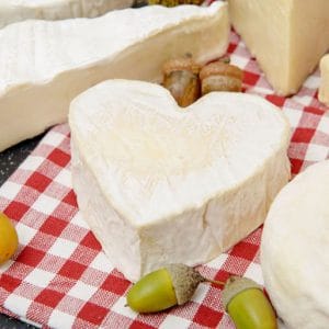 Homemade cream cheese. How to make homemade cream cheese? Cream cheese: recipes, composition, how to make