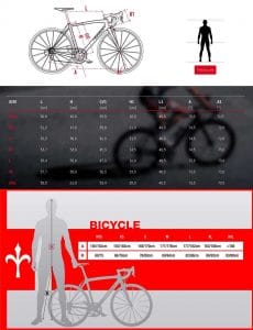 Road bikes. How to choose your first road bike
