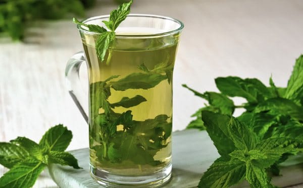 Several ways to use mint. Mint Boom: 12 Unusual Recipes That Will Surprise You