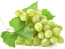 Frutti pericolosi e fruttosio "sano". Come determinare il tuo livello di sicurezza? Frutta, bacche e verdure a basso contenuto di zucchero