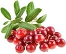 Frutti pericolosi e fruttosio "sano". Come determinare il tuo livello di sicurezza? Frutta, bacche e verdure a basso contenuto di zucchero