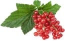 Frutti pericolosi e fruttosio "sano". Come determinare il tuo livello di sicurezza? Frutta, bacche e verdure a basso contenuto di zucchero