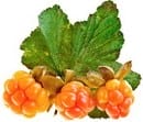 Frutti pericolosi e fruttosio "sano". Come determinare il tuo livello di sicurezza? Frutta, bacche e verdure a basso contenuto di zucchero