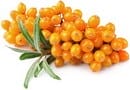Frutti pericolosi e fruttosio "sano". Come determinare il tuo livello di sicurezza? Frutta, bacche e verdure a basso contenuto di zucchero