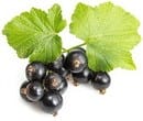 Frutti pericolosi e fruttosio "sano". Come determinare il tuo livello di sicurezza? Frutta, bacche e verdure a basso contenuto di zucchero