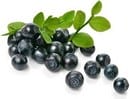 Frutti pericolosi e fruttosio "sano". Come determinare il tuo livello di sicurezza? Frutta, bacche e verdure a basso contenuto di zucchero