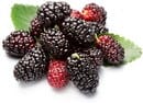 Frutti pericolosi e fruttosio "sano". Come determinare il tuo livello di sicurezza? Frutta, bacche e verdure a basso contenuto di zucchero