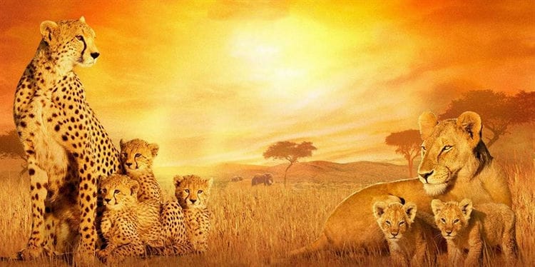 Jour de la Terre: documentaires sur la nature que tout le monde devrait voir. Documentaires sur l'homme et la nature