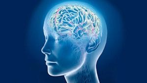 Las consecuencias para el cuerpo después de que una persona ha dejado de beber. Abstinencia brusca del alcohol: características, consecuencias, recuperación del cuerpo.