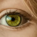 Conjunctivitis treatment in adults. Preparations, drops, folk remedies, procedures. Conjunctivitis. Symptoms, causes and treatment of conjunctivitis