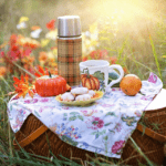 Top 12 products you can take with you outdoors. What to pack for a picnic: a helpful list