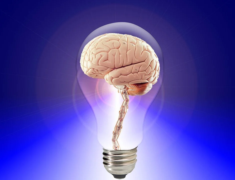 Des moyens scientifiquement fondés pour faire travailler votre cerveau pour vous, pas contre vous. Est-il possible de faire fonctionner le cerveau à 100%