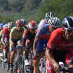 Road bikes. How to choose your first road bike