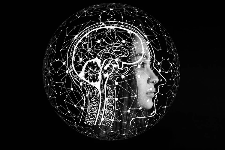 Когнитивные искажения в психологии. Множество когнитивных искажений и как они влияют на нашу жизнь