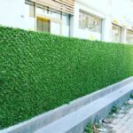 Recinzione verde decorativa e suoi vantaggi