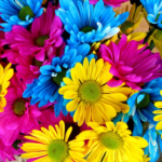 What flowers are used to make a bouquet?